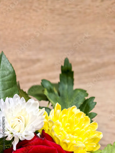 White And Yellow Chrysanthemum Flowers With Copy Space