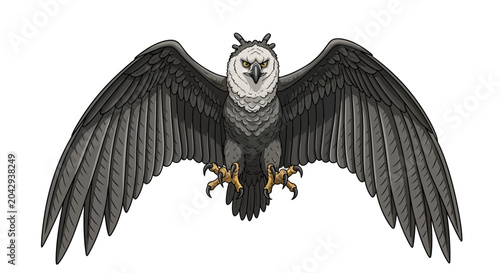 Billede på lærred Harpy Eagle Vector Illustration with Spread Wings on White Background