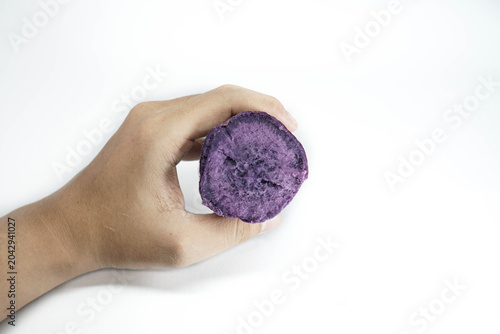Hand Holding Purple Sweet Potato Isolated on White Background