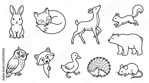 Fotografía Charming Woodland Creatures Vector Set, Cute Forest Animals Collection, Hand-Dra