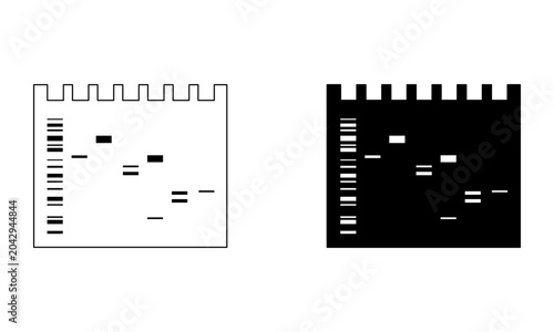 DNA gel electrophoresis result bands icon vector