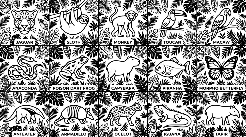 Fototapeta premium Black and white illustration of various jungle animals and plants design