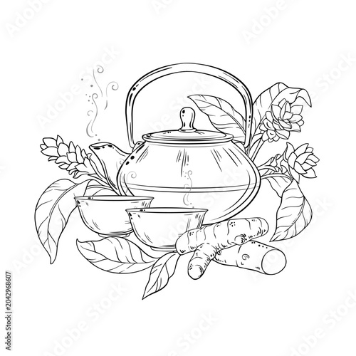 Turmeric Tea in Teapot aroma beverage Outline Illustration. Vector isolated for Design and Decoration for Cafeteria, Posters, Banners, Cards.