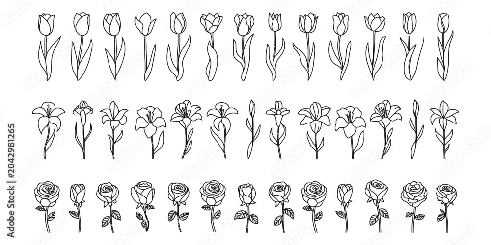 Fototapeta premium Hand drawn flower sketches set of tulips lilies and roses