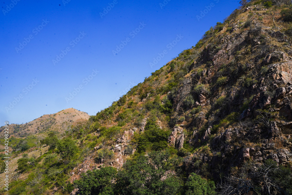 Fototapeta premium beautiful view of indian historical and mountain