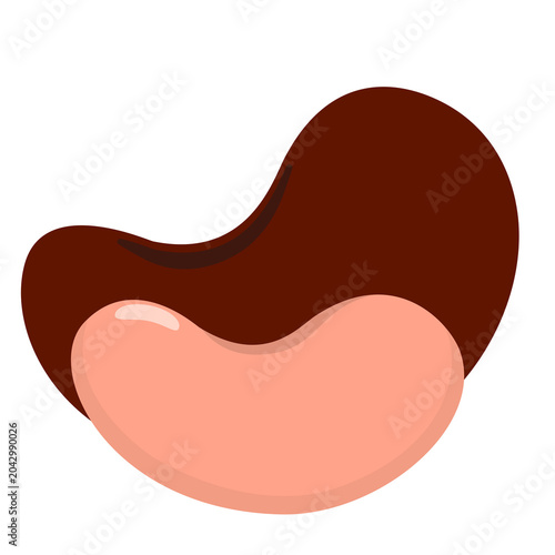 Cashew nut with shell illustration