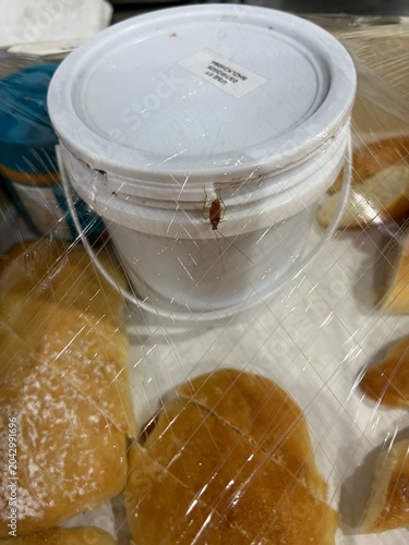 Insect observed on protective plastic covering of a food ingredient container in a food processing environment. Image related to pest monitoring, hygiene inspection, food safety programs, and contamin