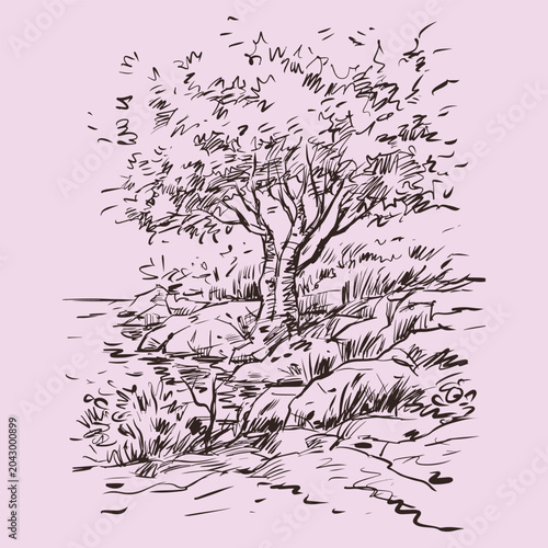 landscape of trees along the riverbank vector for illustration card decoration
