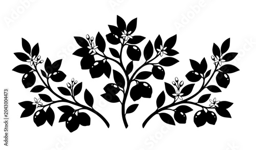 Stylized lemon tree branches with blossoms vector illustration isolated on white