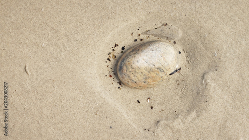 Canvas Print Minimal beach stones in soft sand with shallow depth of field