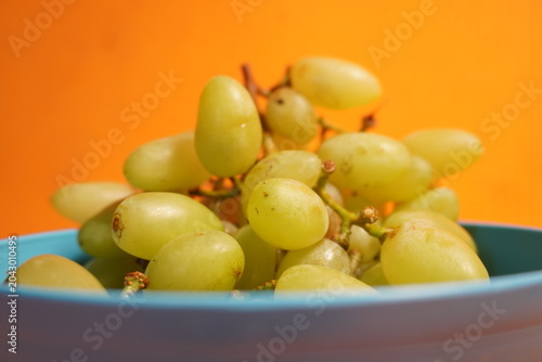 Fresh green grapes hanging in clusters, juicy, nutritious, naturally sweet, and refreshing fruit.