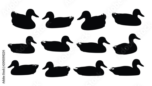 Fotografie A collection of mallard duck silhouettes in varying poses against a white backgr
