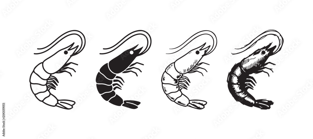 Obraz premium Set of four black and white shrimp icons presented in various artistic styles: clean outline, solid silhouette, classic line art, and textured sketch.