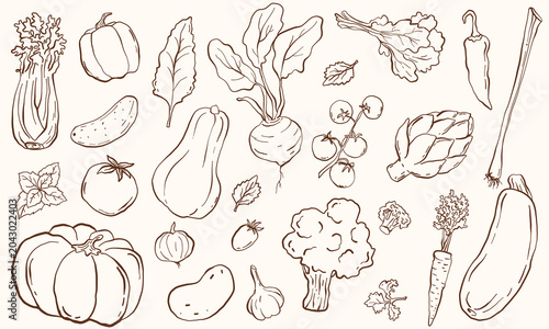 Vegetables Set Line Art, Hand Drawn Organic Food Collection, Pumpkin Tomato Broccoli Carrot Pepper Eggplant, Botanical Outline Illustration, Farm Fresh Veggies Sketch
