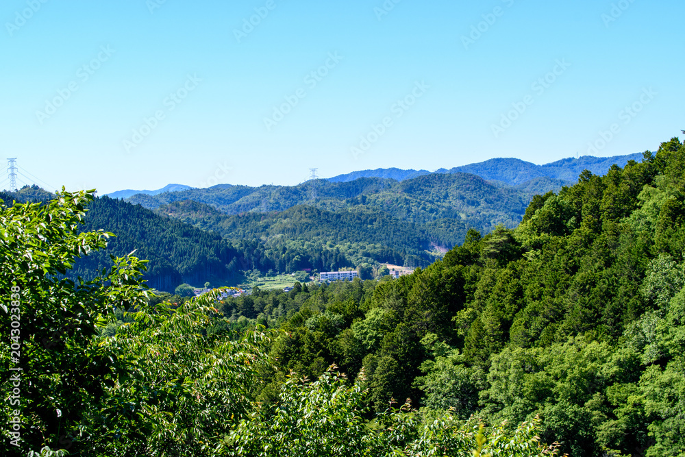 Naklejka premium 峠から見た風景