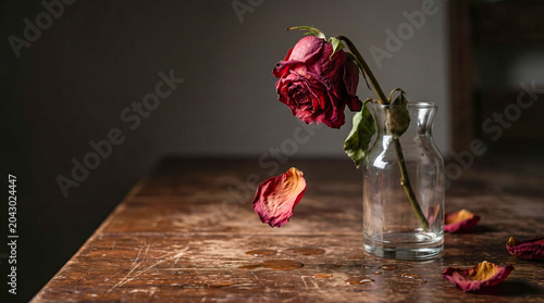 Single Wilting Red Rose Dropping Petals onto a Dark Wooden Table in a Moody Dimly Lit Room 