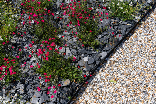 Foto Grand jardin fleuri composé d’arbustes, de pelouses et de roses aux multiples variétés et couleurs vives créant un paysage naturel riche, harmonieux et printanier