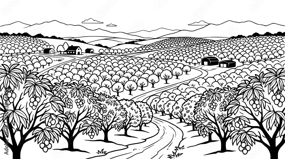 Fototapeta premium Orchard landscape with fruit trees and rolling hills line art illustration
