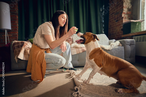 фотографія Woman training eager dog with green toy in warm living room