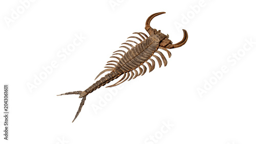 Принти на полотні Small wild scorpion insect predator wildlife creature object on transparent back