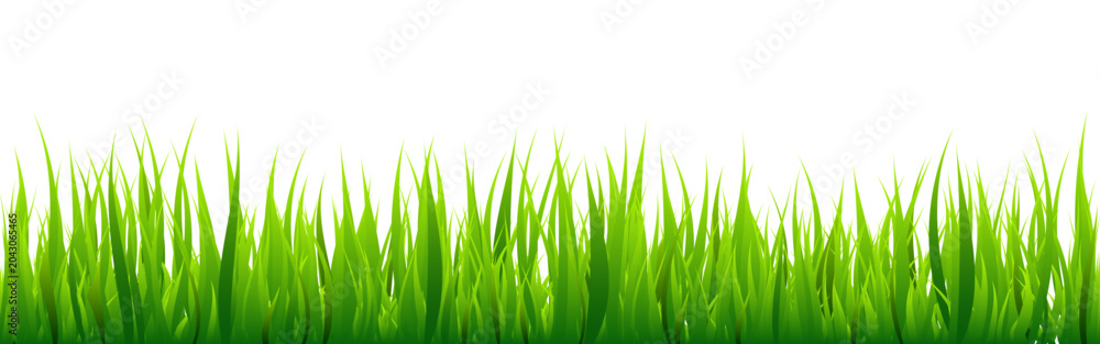 Obraz premium Meadow silhouette with green grass, plants on plain. Panoramic summer lawn landscape with herbs, various weeds. Herbal border, frame element. Black horizontal banners. Vector illustration