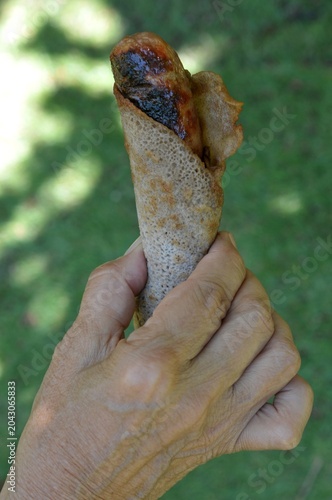 Galette-saucisse bretonne grillée tenue en main en gros plan