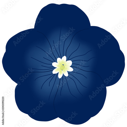 A beautiful dark blue flower blooming illustration isolated , nature element design