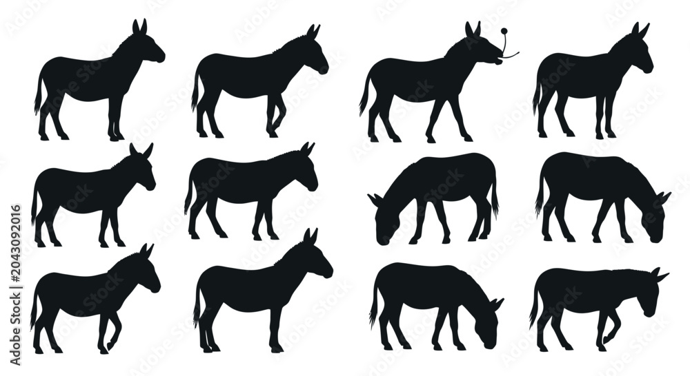 Φωτογραφία Black silhouettes of donkeys standing still.