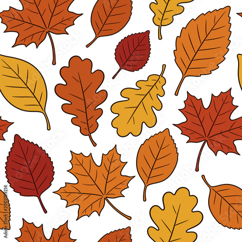 Bild auf Leinwand A vibrant arrangement of various autumn leaves in shades of orange, yellow, and red against a clean white background