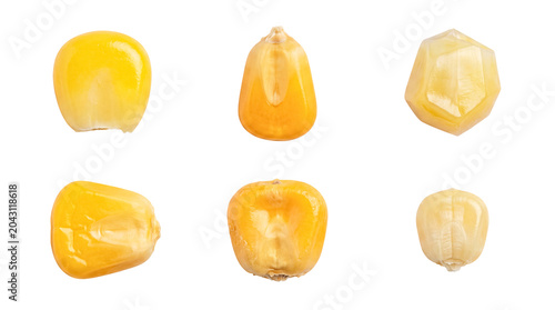 Tableau sur toile Vibrant yellow corn kernels photographed from various angles, isolated on a transparent background