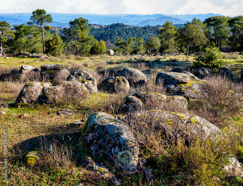 Rocas de granito y pinares