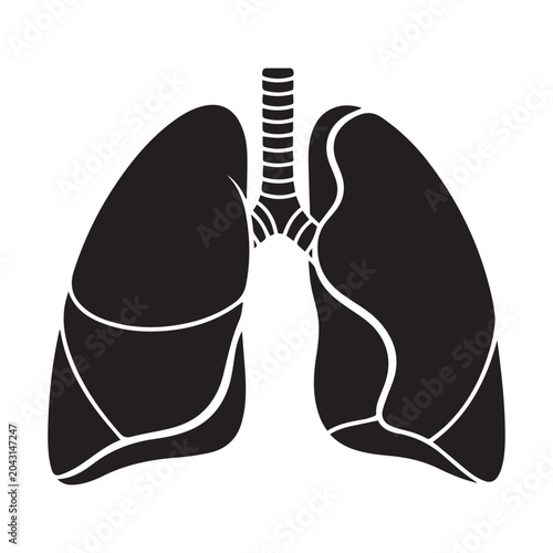 Konstfotografi Human lungs anatomy illustration with trachea and bronchial tree in black and wh