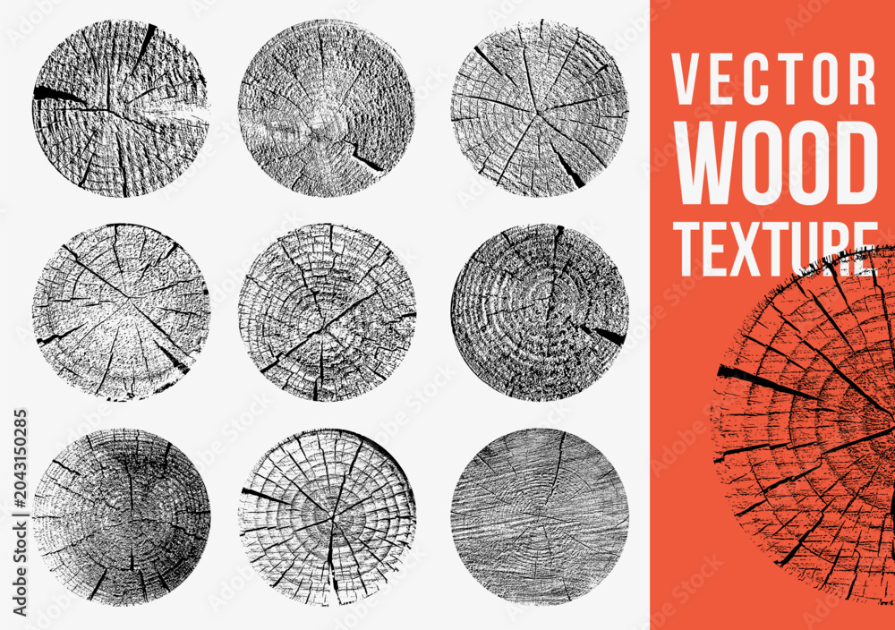 Obraz premium Tree stump prints with wooden silhouettes, concentric rings set. Annual wood textures, cross section tree ring pattern for natural design collection. Cross section of tree stump slice with age ring