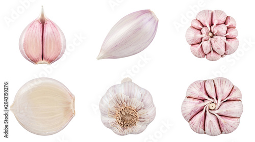 Photos A detailed studio photograph showing various garlic cloves, both whole and cut open, with cross sections