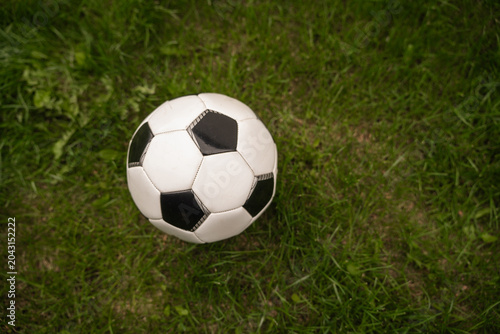 Obraz na plátne White and Black Soccer Ball on Green Lawn