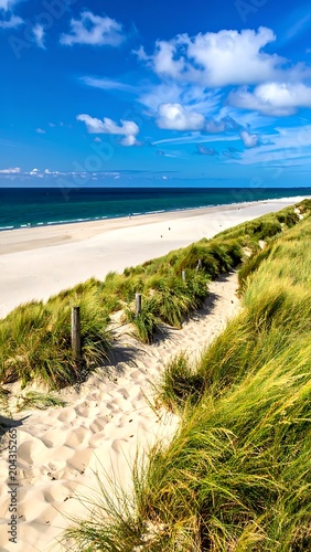 Serene beach with sandy dunes landscape.