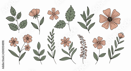 A collection of hand-drawn botanical illustrations featuring flowers and leaves