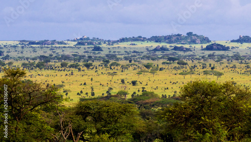 Fotografija Serengeti