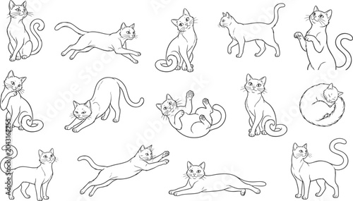 Schilderij op canvas Cat Poses Outline Sketch Vector Set: Minimalist Hand Drawn Kitten Doodles, Playf