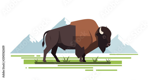 Billede på lærred American Bison Walking Side View.