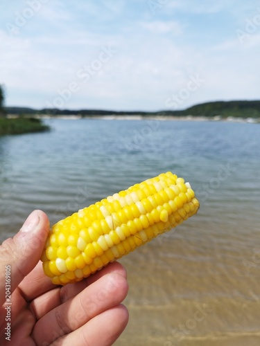 Delicious summer snack with corn on a lake background