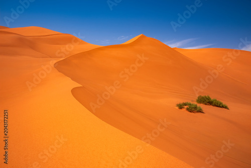 Bild auf Leinwand Saharan sand dunes of Erg Chebbi near Merzouga, Morocco in North Africa