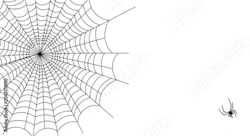 Intricate spider web design in the corner of a white background with a small black spider waiting for its next catch.