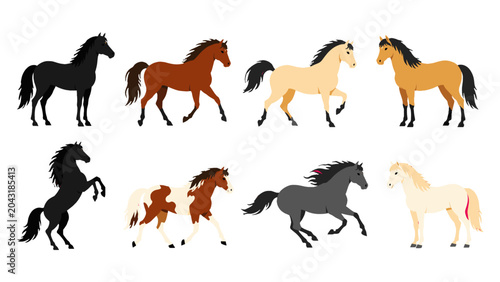 Konstfotografi Set of eight horse silhouettes and colored vector illustrations