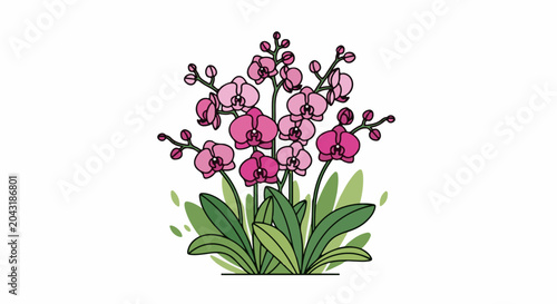 Bunch of pink orchids with green leaves and buds