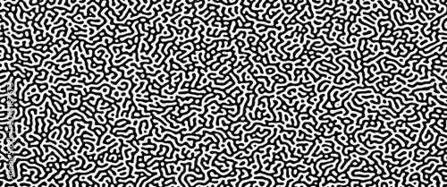 Foto Turing reaction diffusion monochrome seamless pattern with chaotic motion