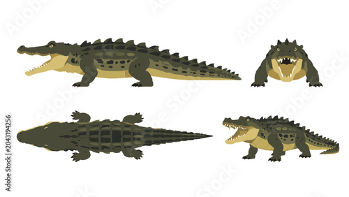 Cartoon crocodile set with side front top and perspective views