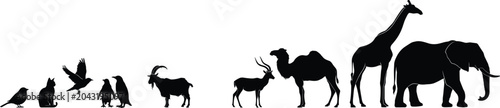 Photography Animal Silhouette Border Scene Featuring Rabbit Birds Goat Deer Camel Giraffe an