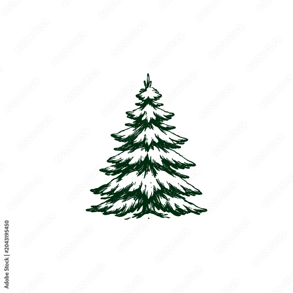 Obraz premium Evergreen Tree Illustration