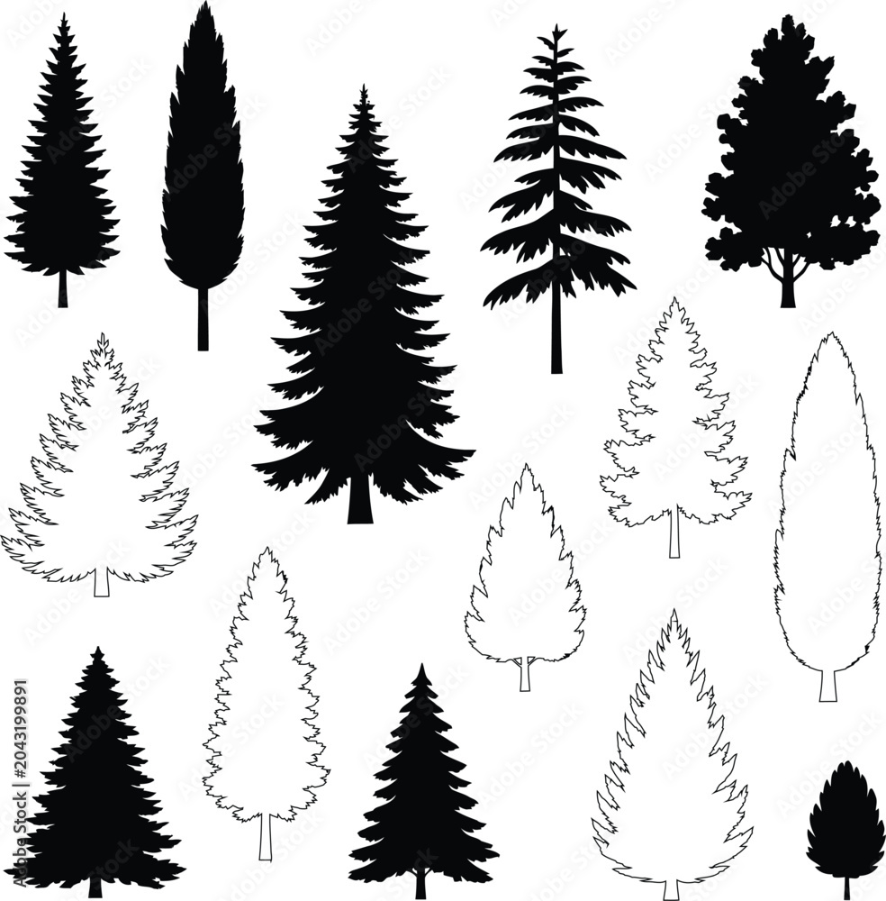 Obraz premium Timeless Evergreen Forest Silhouette Collection